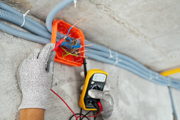 Best Ceiling Fan Installation Electrician  in Celina, TX