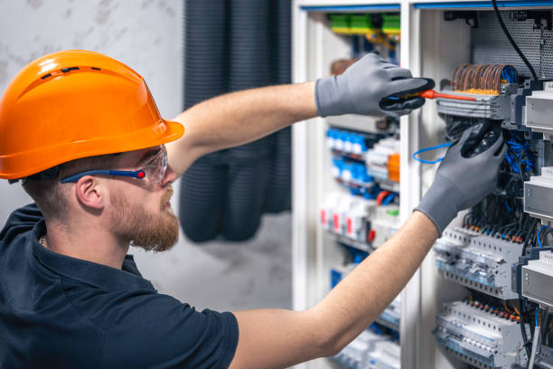 Best Electric Panel Repair  in Celina, TX